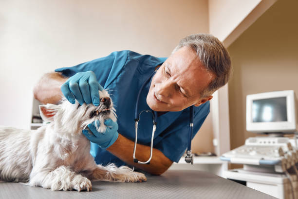 Best Tooth Pain Emergency Relief  in Henderson, TX