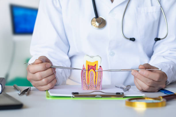 Best Chipped Tooth Repair Near Me  in Henderson, TX